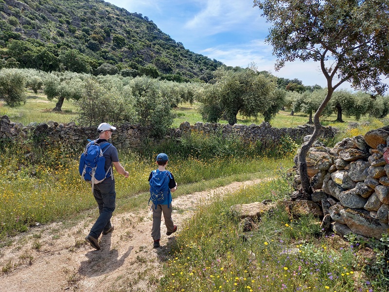 Dos senderistas padre e hijo, caminan por un camino de tierra entre paredes de piedra. Sierra al fondo con olivos y bosque mediterraneo